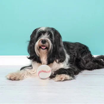Мячик для прорезывания зубов у собаки, игрушки для домашних животных, игрушки для щенков, Большая Пластиковая Интерактивная игрушка для жевания в помещении